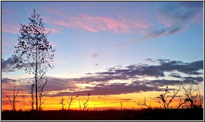 Sonnenaufgang Wendehammer.jpg - Morgens in Dortmund. Fotografiert mit dem Foto-Handy K800i